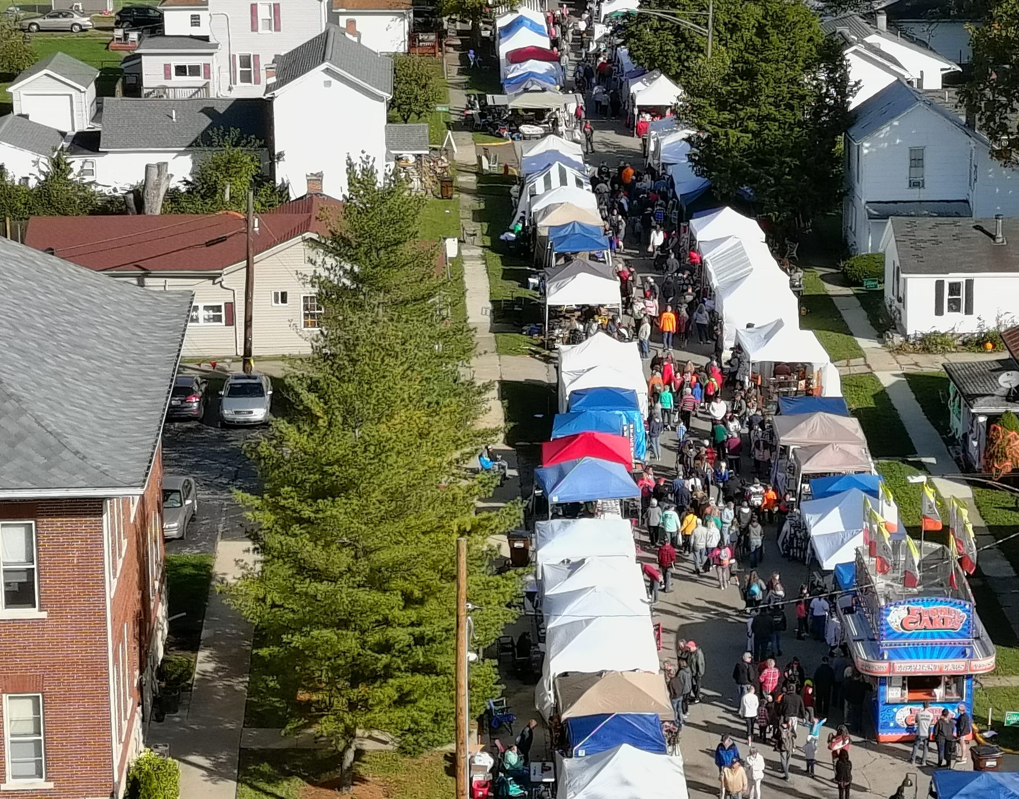 Black Walnut Festival